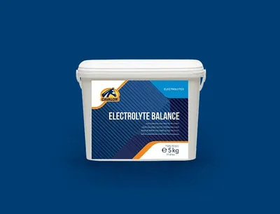 Productafbeelding van Cavalor Electrolyte Balance 5KG