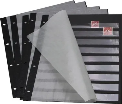 Produktbild von SAFE 117 Einsteckblätter schwarz