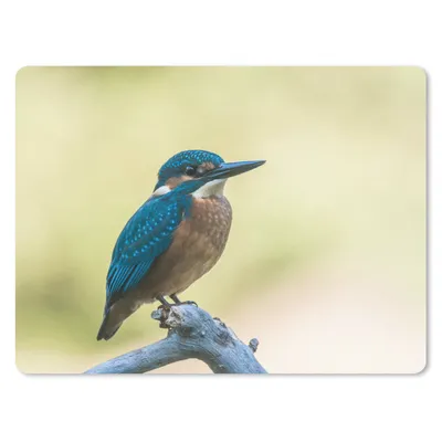 Produktbild von MuchoWow® Mauspad Mousepad Eisvogel - Zweig - Vogel 23x19 cm - Mousepads - Maus Mat - Pad - Mausunterlage - Schreibtischunterlage - Mauspad