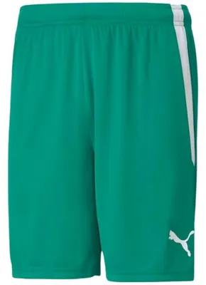 Produktbild von Puma - "TeamLIGA" Shorts für Herren PP5066 (S) (Grün)