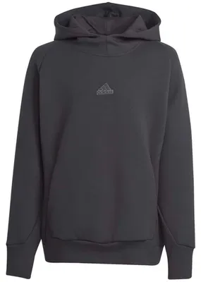 Image de Sweat à capuche Adidas Z.N.E. pour Enfant