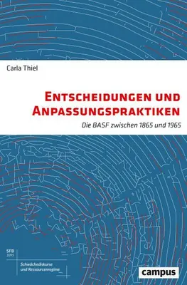 Produktbild von Entscheidungen und Anpassungspraktiken