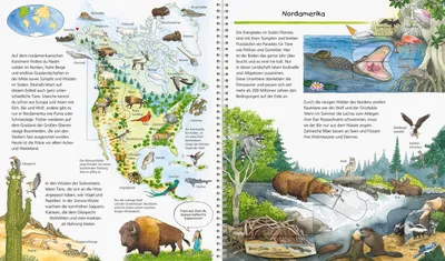A collage of illustrations depicting North American animals and their habitats, with text descriptions.
