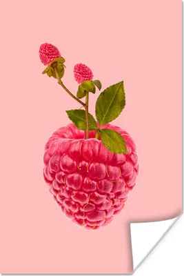 Produktbild von MuchoWow® Poster Stilleben - Himbeere - Obst 80x120 cm - Papierdruck
