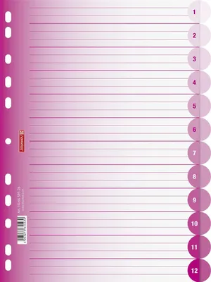 Produktbild von BRUNNEN Ringbuchregister A4 12-teilig pink 106659526