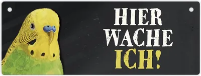 Produktbild von Metallschild mit Wellensittich grün Motiv und Spruch: Hier wache ich! Türschild