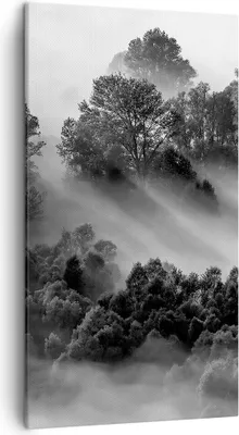 Produktbild von Bild auf Leinwand - Leinwandbild - Einteilig - Schwarzweiß Bäume Nebel - 45x80cm - Wand Bild - Wanddeko - Wandbilder - Leinwanddruck - Bilder - Wanddekoration - Leinwand bilder - PA45x80-4510