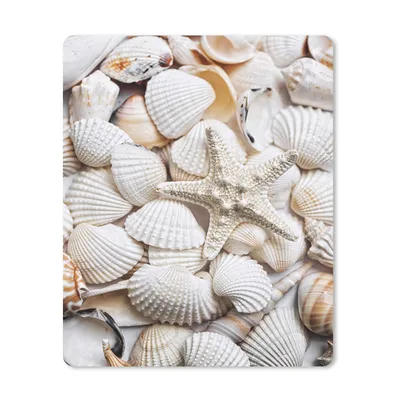 Produktbild von MuchoWow® Mauspad Mousepad Muscheln - Seesterne - Weiß 19x23 cm - Mousepads - Maus Mat - Pad - Mausunterlage - Mauspads - Spielen
