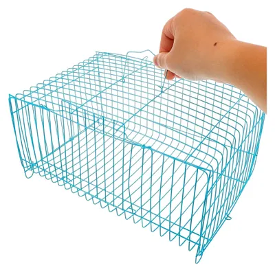 Produktbild von Tragbarer Vogelkäfig und Transportbox für Kleintiere mit verbessertem Luftstrom