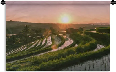 Produktbild von MuchoWow® Wandteppich Wandbehang Reisfelder in Indonesien bei Sonnenuntergang 150x100 cm Tapisserie Dekoration Wandtuch - Waschbar - Tapisserien - Wand-Decke