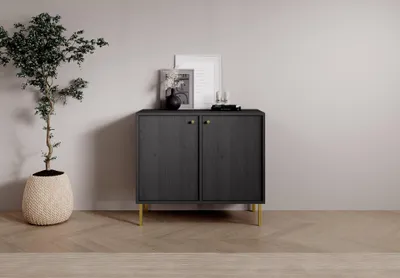 Obrázek produktu pro Nízká komoda s dvířky DENRA - černá