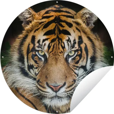 Produktbild von MuchoWow® Gartenposter Outdoor-Poster Rund Tiger - Schwarz Ø 150 cm Gartendeko Rundes Poster draußen
