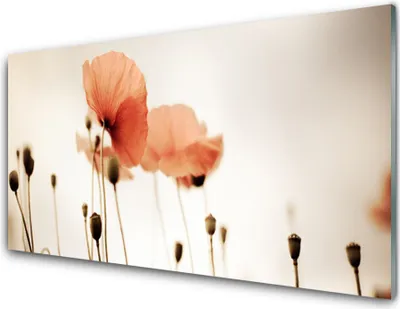 Produktbild von Acrylglasbilder 100x50 Wandbild Druck Mohnblumen Pflanzen