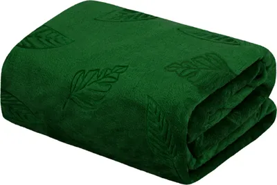 Obrázok produktu pre DOMAREX CALEN Deka 150x200 cm Hrejivá Zelená