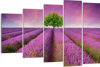 Produktbild von Bild auf Leinwand - Leinwandbild - Wiese lavenda Sommer Landschaft - 150x100cm - Wand Bild - Wanddeko - Leinwanddruck - Bilder - Kunstdruck - Leinwand bilder - Wandkunst - EG150x100-2605