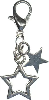 Produktbild von Sternchen Charm Anhänger Weihnachten Miniblings 2 Sterne Stern silber