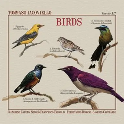 Produktbild von Birds