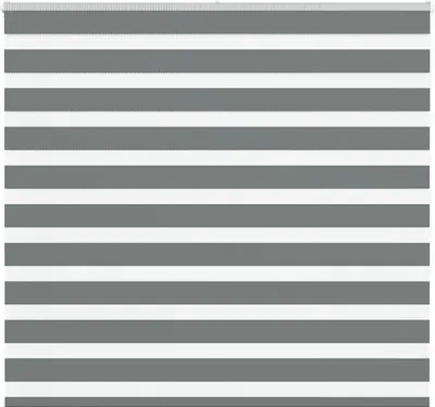 Obrázek produktu pro Maison Exclusive – dvojitá roleta tmavě šedá 155 x 150 cm Šířka látky 150,9 cm Polyester
