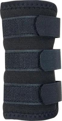 Image de Back on Track Protège-articulations pour chiens, Couleur:noir, Taille:L