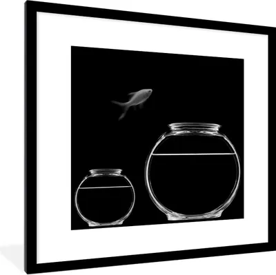 Produktbild von MuchoWow® Gerahmtes Poster Goldfisch springt aus dem Aquarium auf schwarzem Hintergrund - schwarz und weiß 40x40 cm - Poster mit Schwarzem Bilderrahmen Wandposter Rahmen Foto Bilder - Poster - Plakat im Rahmen