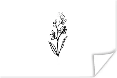 Produktbild von MuchoWow® Poster Pflanzen - Blume - Strichzeichnung 180x120 cm - Fotoplakat