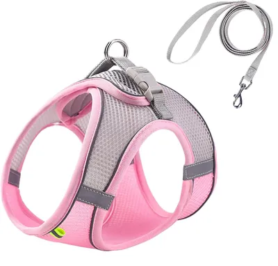 Produktbild von Reflektierendes Rosa Hunde-Geschirr Mit Leine, Größe S, Weiches Mesh-Material, Für Kleine Und Mittelgroße Hunde Und Katzen