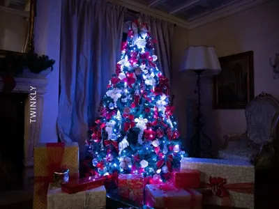 Produktbild von TWINKLY Strings 250 Special Edition (TWS250SPP-BEU) Intelligente Christbaumbeleuchtung 250 LED RGB+W 20 m