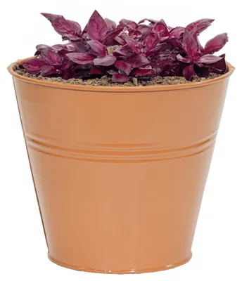 Produktbild von Mega Collections Pflanzentopf Bob -zink - terra - D13 X 12 cm