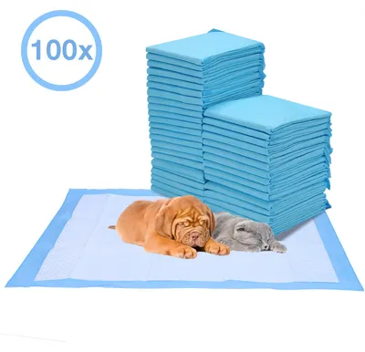 Produktbild von Ikodm 100 Stück Welpenunterlagen 45x60 cm Hunde Pipi Pads Einweg Trainingsunterlagen