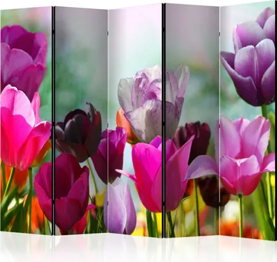 Produktbild von 5-teiliger Doppelseitiger Vlies Paravent - Beautiful Tulips II 225x172 cm Blumen b-B-0179-z-c