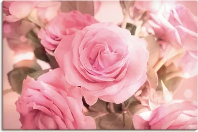 Produktbild von ARTland Leinwandbild Rosarosenbouquet Größe: 30x20 cm