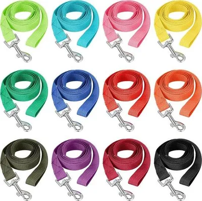 Produktbild von Nylon Hundeleinen in 12 Farben - Geeignet für Pudel und kleine Hunde