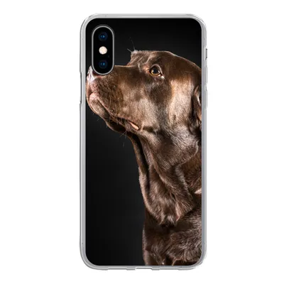 Produktbild von MuchoWow® Handyhülle Schutzhülle Hülle für iPhone X Hund - Braun - Porträt Silikon Softcase Handy Hülle - Handyhülle