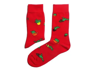 Produktbild von Herren Basic Socken aus Baumwolle Kaktusland Rot Größe 39-42