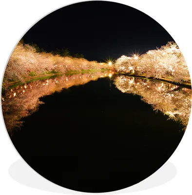 Produktbild von MuchoWow® Rundes Wandbild - Runde Bilder Kirschbaum - Blüte - Licht Ø 90 cm Kreis Wanddekoration Kunststoff - Wandkreis - Wandschmuck - Wand-Kreis - Wohnzimmer - Bild - Runde - Wanddeko - Dibond - Kunstdrucke