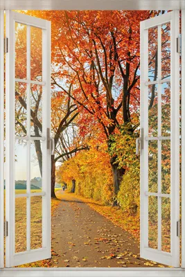 Produktbild von Wallario Poster mit Fenster-Illusion: Herbstlicher Waldweg mit buntem Laub, Größe: 100 x 150 cm