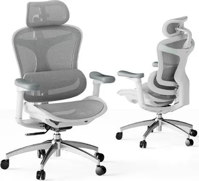 Produktbild von Famanu Bürostuhl Ergonomisch mit 3D-Armlehnen - Komfortabler Stuhl für Homeoffice