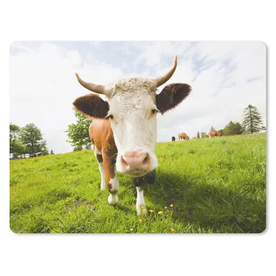 Produktbild von MuchoWow® Mauspad Mousepad Kuh - Licht - Schatten 40x30 cm - Mousepads - Maus Mat - Pad - Mausunterlage - Anti Rutsch