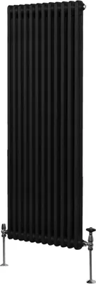 Immagine prodotto di Radiatore tradizionale a 2 colonne - 1800 x 562 mm - Nero