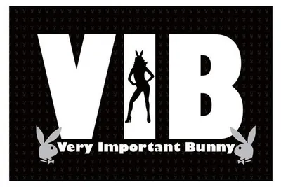 Image de PLAYBOY - VIB - 61x91,5cm - Affiche Poster