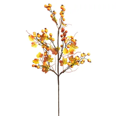 Produktbild von Herbstzweig mit Hagebutten 60 cm