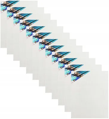 Produktbild von PE Leinwand Panel 20x30 cm Malerei 12er Set