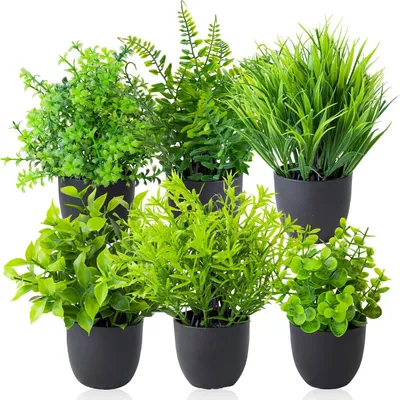 Produktbild von Kunstpflanzen Set 6 Stück, 20 cm hoch, dekorative Topfpflanzen, für Innen und Balkon