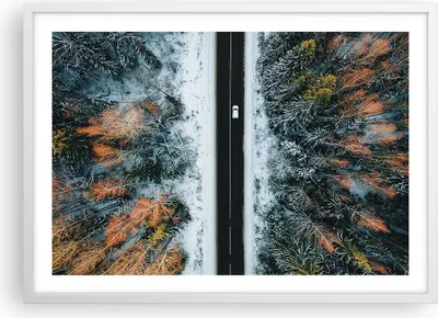 Produktbild von Gerahmtes Poster - Weißer Rahmen - Wald Weg Schnee - 70x50 cm - Wand Bild - Wanddeko - Wandbilder - Kunstposter - Wandposter - Bilderrahmen - Bilder - Kunstdruck - Wanddekoration - P2WAA70x50-4654