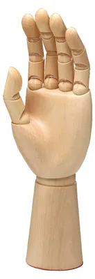 Produktbild von Rechte Hand 30 cm