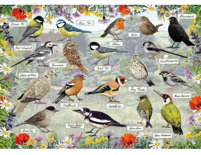 Immagine prodotto di GIBSONS Puzzle RSPB: Happy 1000 DLC
