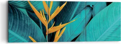 Produktbild von Bild auf Leinwand - Leinwandbild - 3 Teile - Blumen Tropen Blätter - 90x30cm - Wand Bild - Wanddeko - Wandbilder - Leinwanddruck - Bilder - Wanddekoration - Leinwand bilder - Wandbild - CA90x30-5116