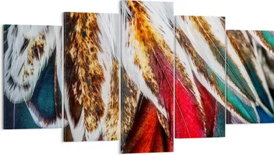 Produktbild von Bild auf Leinwand - Leinwandbild - Federn Federn Vogel - 160x85cm - Wand Bild - Wanddeko - Leinwanddruck - Bilder - Kunstdruck - Wanddekoration - Leinwand bilder - Wandkunst - EA160x85-3743