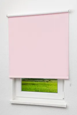Produktbild von Lysel - Qualitätsrollo abdunkelnd rosa, (B x H) 183cm x 190cm in rot/rosa