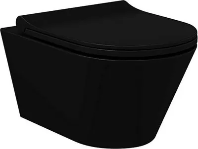 Produktbild von Wand Wc Spülrandlos Schwarz Matt 314 mit Soft Close Wc Sitz